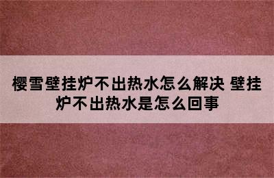 樱雪壁挂炉不出热水怎么解决 壁挂炉不出热水是怎么回事